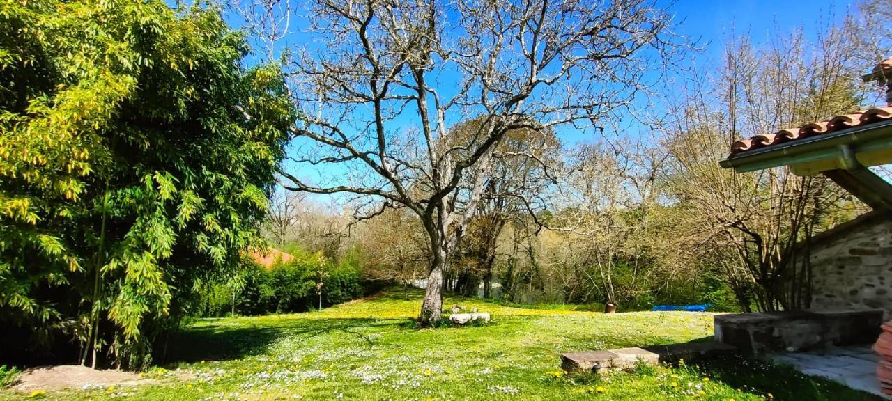 Apartamento Entre Galets Sauveterre-de-Bearn Exterior foto